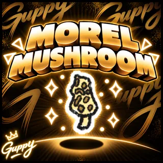 BSS: Morel mushroom