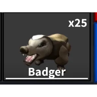 MM2: Badger medium bundle (25)