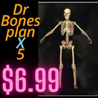 CHEAP Dr Bones X 5