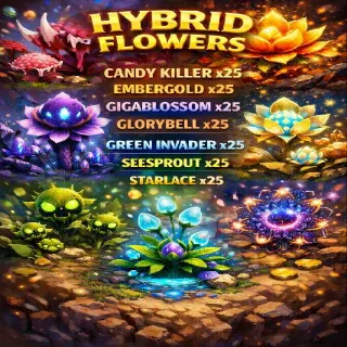 25 Of Each Hybrid Flower