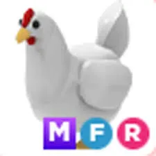 527533_6 527533_6