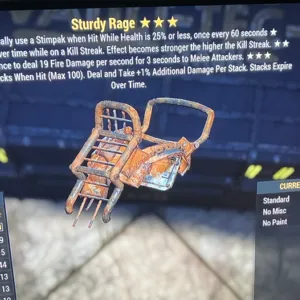 Sturdy Rage Armor
