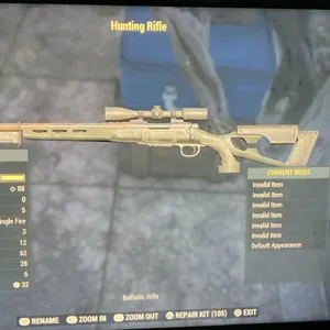 NW Hunting Rifle