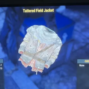 Tattered Field Jacket