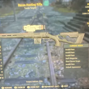 N W Hunting Rifle