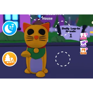 4x legendary cat almost full grown