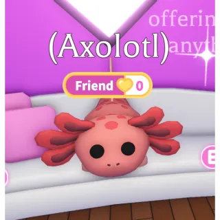 x4 axolotls almost full grown 