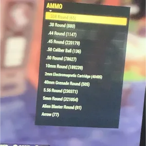 All Ammo inventory