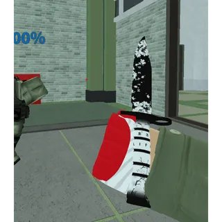 Counter Blox Bayonet Aequalis