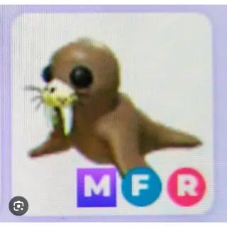 mega fly ride walrus