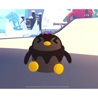 Coco penguin