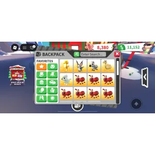 Adopt me pets bundle x15