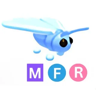 Glacier Moth MFR