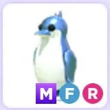 Diamond king penguin MFR