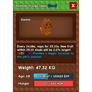 GROW A GARDEN / Huge Rainbow Orange Tabby 5s Cd When Max  / NOT DUPED