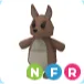 NFR Kangaroo / Adopt me / Adm