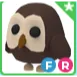 FR Owl / Adopt me / Adm