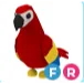 FR Parrot / Adopt me / Adm
