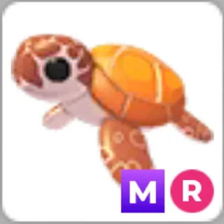 MR Sea Turtle
