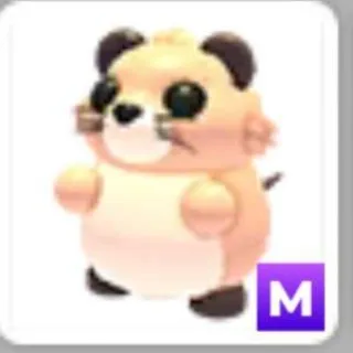 M Muskrat
