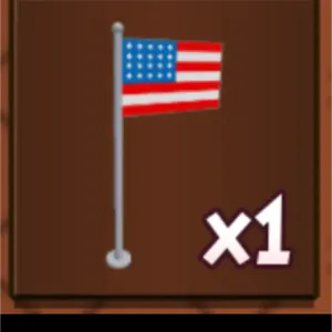 American flag  1