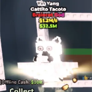 Gattito  tacoto yin yang