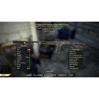 VE25 COMBAT RIFLE LVL 20