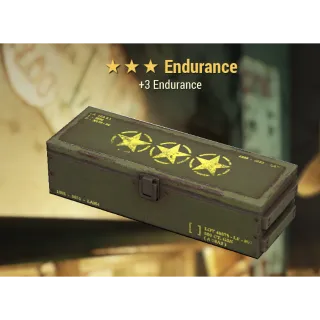 Endurance mod box