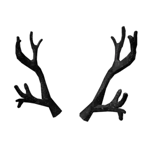 Limited I Black Iron Antlers