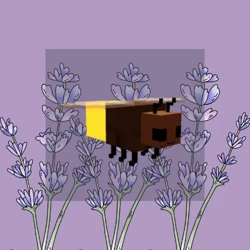 รายการภาพถ่าย