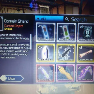 5x Domain Shards