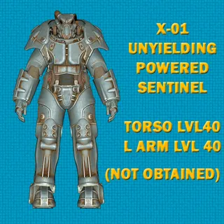 X-01 Set Unyielding Powered Sentinel
