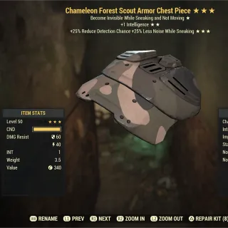 Chameleon Int Sneak Forest Scout Chest