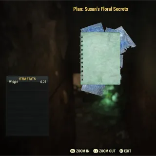 Susan’s Floral Secrets