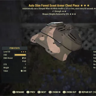 Autostim STR WWR Forest Scout Chest