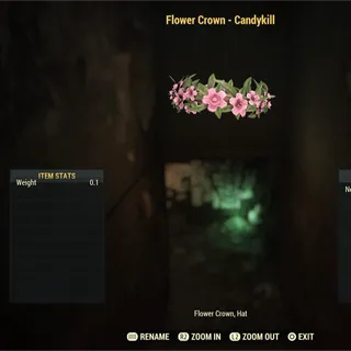 Flower Crown - Candykill