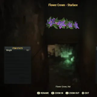 Flower Crown - Starlace