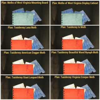 Moth Plan Bundle 🦋