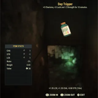 100 Day Tripper