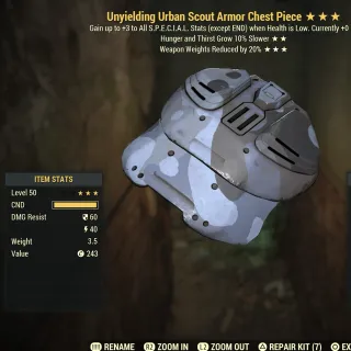 Uny GL WWR Urban Scout Chest