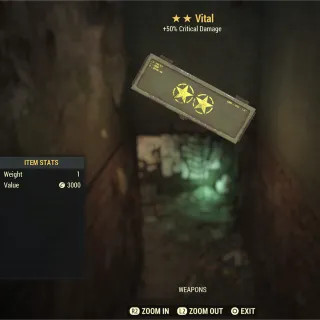 Vital Box Mod (50 Crit)