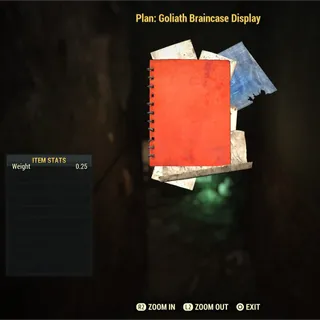 Goliath Braincase Display