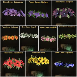 Flower Crown Bundle 🌸👑