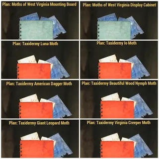 Moth Plan Bundle 🦋