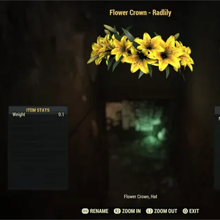 Flower Crown - Radlily