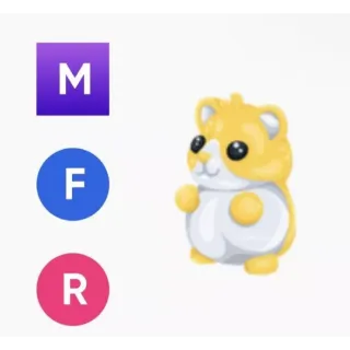 MFR Hamster