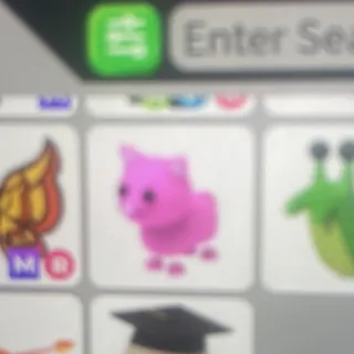Pink cat