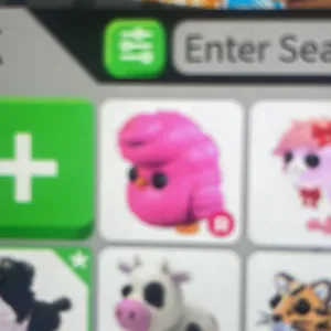 Candy floss chick