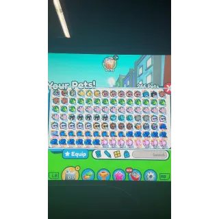 Roblox Pet Simulator X