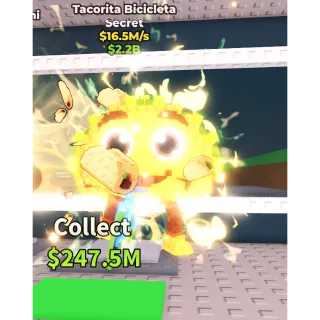  Chicleteira Bicicleteira